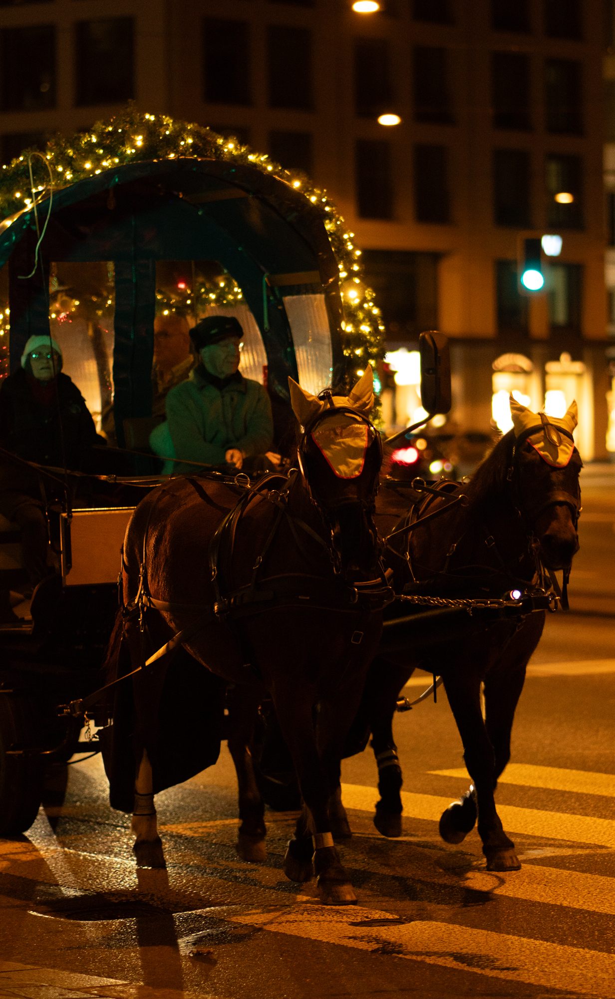 Horse carriage among festive lights